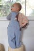 100% 0m+ Organic Farm Buddies by Apple Park Lovey Rattle | Non-Toxic, Hypoallergenic, Organic Cotton for | Security