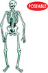 Jointed Skeleton Party Accessory (1 count)