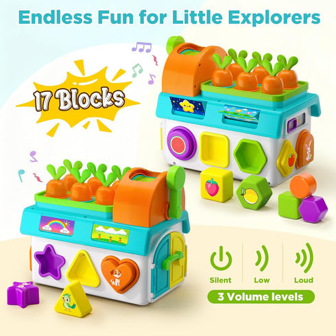 1,2 1-3 12-18 1-2 Learning Toys for Year Old Girl Boy Gifts, Montessori Shape Sorting Toys for Toddler Age, Musical