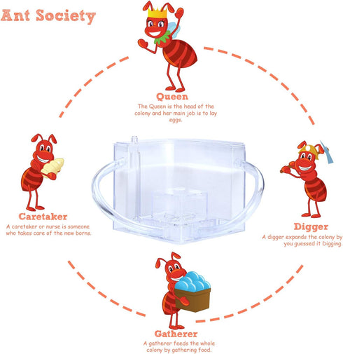 NAVAdeal Sand Ant Farm with Connecting Tubes, Habitat Educational Science Kit Toy for Kids & Adults