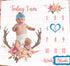 Monthly Milestone Blanket for Baby Girl, Deer Antler Flowers with Words, Pink Baby Growth Chart Blanket, 47"x47"