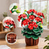 Set 548PCS 12+ CUBIMANA Flowers Geranium Botanicals Building - Artificial Bonsai Plants for Home Office Decor Display