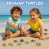 Liberty Imports 12 Piece Miniature Sea Turtle Animal Toys - Hand Painted Tortoise Figurines for Kids Party Favors