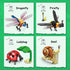 Set,Insect 8 8 KAZI Bugs Building Toy Collection Building Blocks Including Different Bug,STEM Toys for Kids Age