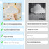 (Pack 1) Dimmable 68Pcs KALEOLI Cloud Wall Light for Nursery of - Crib & Baby Room Decor Nigth Light & Rechargeable