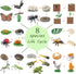 QuarenDen 33 Set, Sets 3+ Life Cycle Animal Kit, PCS, Montessori Toy, Realistic Figurine Kids Animal Match Game