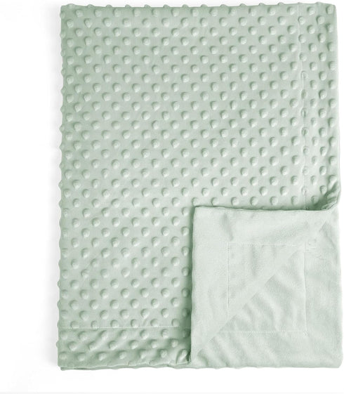 david's kids Micro Fleece Minky Baby Blanket for Girls with Double Layer