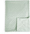 david's kids Micro Fleece Minky Baby Blanket for Girls with Double Layer