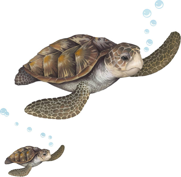 Sea Turtle Wall Decal, Ocean Undersea Animal Tortoise Wall Sticker for Kids Room Decor