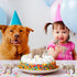 Animal Figures 4pcs Plastic White Goat Action Model, Educational Toys for Science Projects, Birthday Gift, Cake Topper