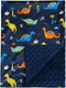david's kids Minky Baby Blanket for Boys - Soft Lightweight Micro Fleece with Double Layer, Breathable Receiving