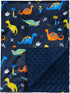 david's kids Minky Baby Blanket for Boys - Soft Lightweight Micro Fleece with Double Layer, Breathable Receiving