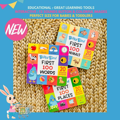 Ditty Bird Talking Books 100 Places, Vocabulary & Speech Learning Sound Books for Toddlers 1-3, Interactive Books