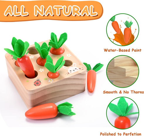 Montessori Toys for 1 Year Old, Carrots Harvest Wooden Baby Toys for 6-12 Months, Educational Shape Sorting
