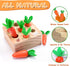 Montessori Toys for 1 Year Old, Carrots Harvest Wooden Baby Toys for 6-12 Months, Educational Shape Sorting
