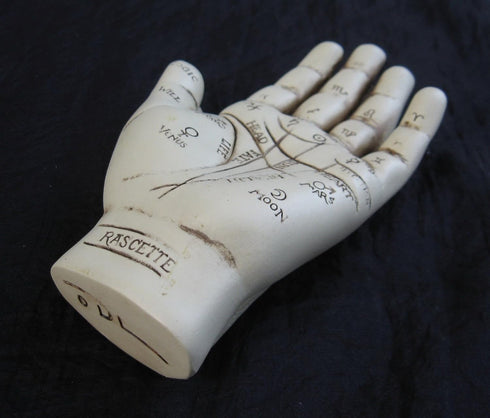 Palmistry Hand Model Resin Sculpture for Fortune Telling with Booklet