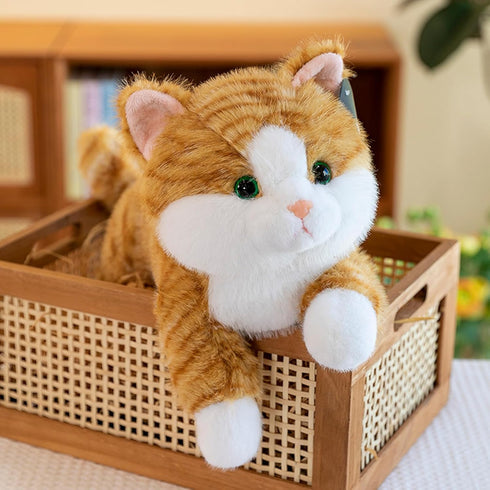 19 inch 3 lbs Cat Weighted Stuffed Animals, Realistic Weighted Cat Stuffed Animal, Sensory Comfort Plush Throw Pillow
