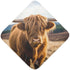YETTASBIN Highland Cow Baby Towel, Ultra Soft Absorbent Cotton Baby Hooded Bath Towel