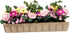 Colorful Miniature Potted Plant Flower, 1:12 Mini Dollhouse Fairy Garden Bonsai Plant Decoration