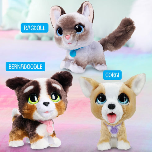 furReal Newborns Kitty Interactive Pet - Small Plush Stuffed Animal Cat with Sounds and Movement for Kids