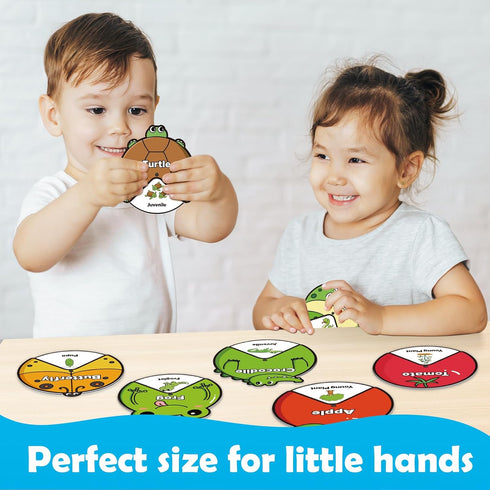 Life Cycle Toys for Kids, Animal Plant Insect Bug Kit, Montessori Learning Activities for Toddlers