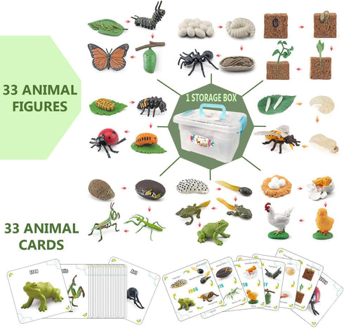 QuarenDen 33 Set, Sets 3+ Life Cycle Animal Kit, PCS, Montessori Toy, Realistic Figurine Kids Animal Match Game