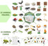 QuarenDen 33 Set, Sets 3+ Life Cycle Animal Kit, PCS, Montessori Toy, Realistic Figurine Kids Animal Match Game