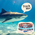 Fahlo Shark Tracking Bracelet, Elastic, Supports Saving The Blue, One Size Fits Most for Men and Women
