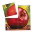 Really Good Stuff Alphabet Photo Puzzles