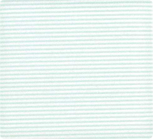 Hudson Baby Unisex Baby Cotton Flannel Receiving Blankets, One Size, Eucalyptus