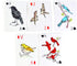 180pcs Apostrophe Games Blank Playing Cards Blank Playing Cards to Write On Custom Card Deck with Matte Finish