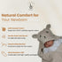 Set 3-Piece Set Baby Gift for Newborns with Organic Cotton Hooded Towel in Bunny Design, Natural Bristle Baby Hairbrush