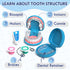 3-5, Set, 4+ 2-4, Playset, 3+ Lehoo Castle Doctor Kit for Toddlers Kids Dentist Play Toys for Year Old Girls Boys