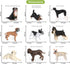 Volnau Dog Figurines, 9PCS Mini Puppy Figures for Kids, Educational Cake Topper Set for Toddlers Decorations