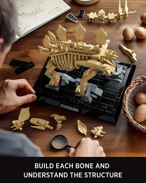 Set, Set (665 NF10353) Nifeliz Stegosaurus Fossils Model Dinosaur Skeleton Building with Display Base for Adults, Ideal