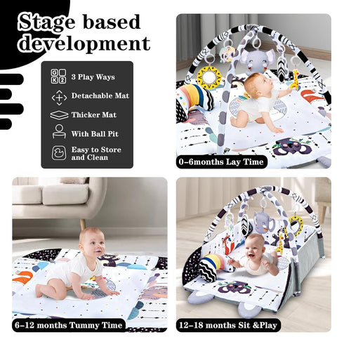 8-in-1 Tummy Baby Gym Play Mat, Time Mat & Activity Gym, Washable Ball Pit, Infant Play Mat with Detachable Toys