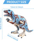 SAURAWAN 1-3 3-5 5-7, Allosaurus Wind Up Dinosaur Toys for Kids Realistic Dino Easter Wind Up Toy, Novelty Jumping