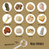 Byncceh Mega Fossil Dig Kit - Excavate 12 Prehistoric Fossils, Educational STEM Science Toys for Kids
