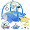 Dr.Rapeti 31x31inch Baby Play Mat, Activity Baby Play Gym with Arch, Playmats