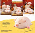 Cute Kawaii Pig Plush Pillows, Soft Stuffed Animal Hugging Pillow, Birthday Gifts for Girls (Round Eyes, 15.7in)