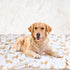 LifeTree Baby Swaddle Blankets with Golden Retriever Dog, 70% Viscose Bamboo and 30% Cotton, 47" x 47"