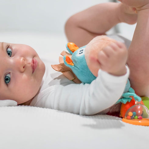 Playgro Horse Soft Baby Toys - Developmental Rattles Teething Toys for Babies 3-6-12 Months