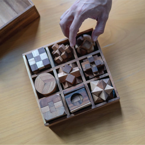 BSIRI 9 Puzzles in a Box, Wooden Brain Teaser Puzzles, Educational Kids Games, Ideal for Birthday Gifts
