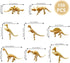 HAVAGDTM 150PCS 2.5Inch Dinosaur Fossil Skeleton Dinosaur Skeleton Toys Assorted Figures Dino Bones for Birthday Party