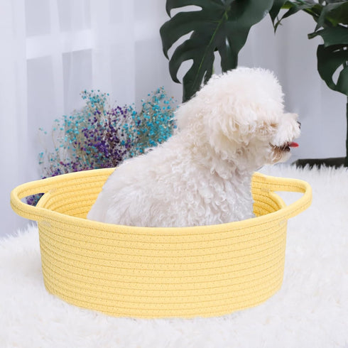 ABenkle Small Woven Basket, 12"x 8" x 5" Cute Storage Basket with Handles for Cat Dog Toys, Decorative Gift Basket -