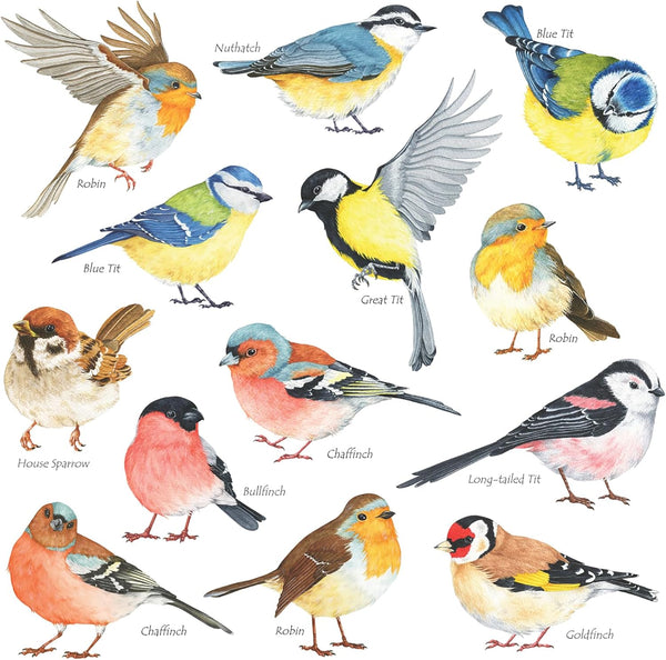 DECOWALL DS2-8038 Little Birds Kids Wall Stickers, Peel and Stick Removable Wall Decals for Kids Nursery Bedroom (Small)