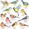 DECOWALL DS2-8038 Little Birds Kids Wall Stickers, Peel and Stick Removable Wall Decals for Kids Nursery Bedroom (Small)