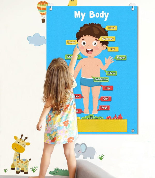 35 Pcs Body Parts Felt Board Set for Kids Preschool Learning Interactive Educational Storytelling Play Kit