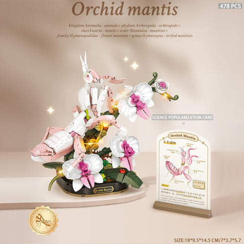 MEIEST Set,Colorful Insect Flower Building Blocks Construction Building Bricks Toy with a Science Popularization
