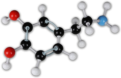 Parco Scientific PCM007 125PCs Molecular Model Kit